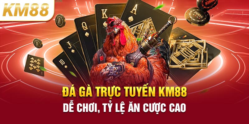 Đá gà trực tuyến KM88 dễ chơi, tỷ lệ ăn cược cao