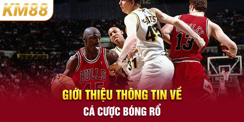 Giới thiệu thông tin về cá cược bóng rổ