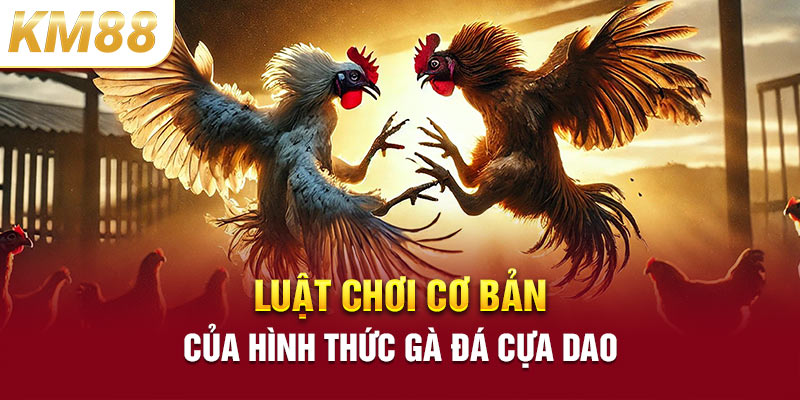 Luật chơi cơ bản của hình thức gà đá cựa dao