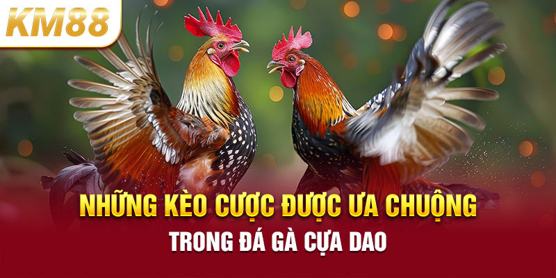 Những kèo cược được ưa chuộng trong đá gà cựa dao