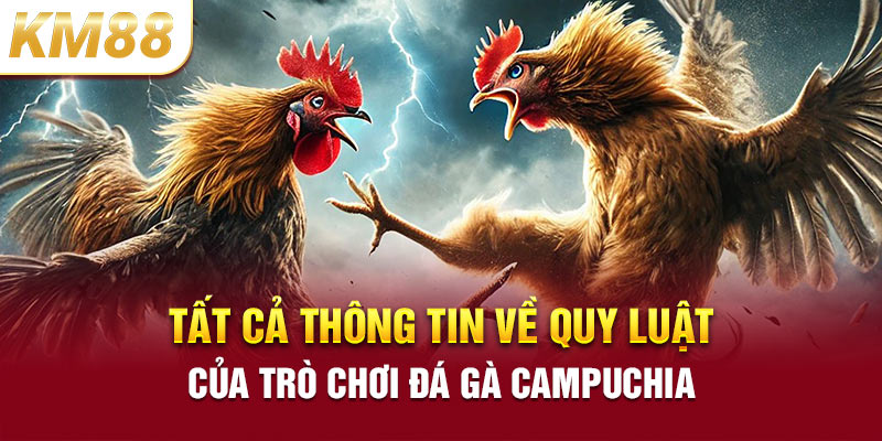 Tất cả thông tin về quy luật của trò chơi đá gà Campuchia