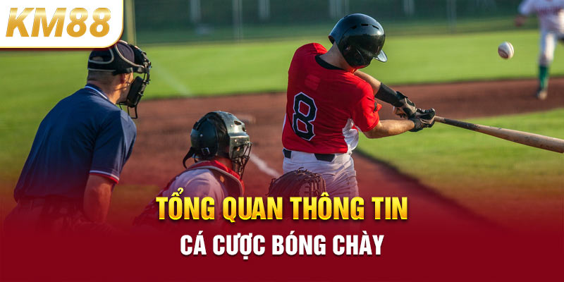 Tổng quan thông tin cá cược bóng chày